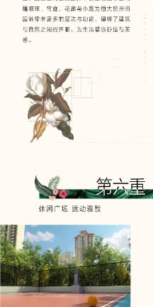 拯救受伤的猫